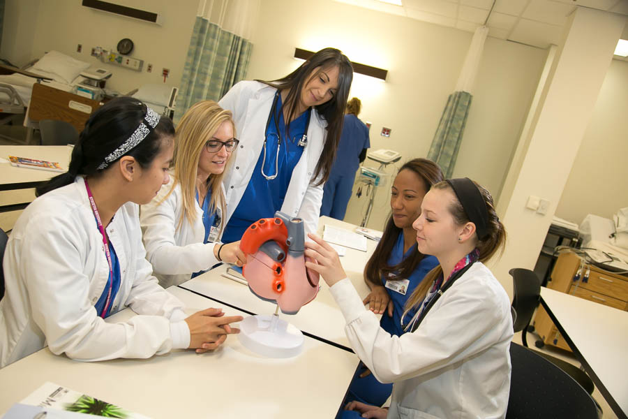 students working in medical lab