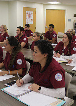 nursing students learning 