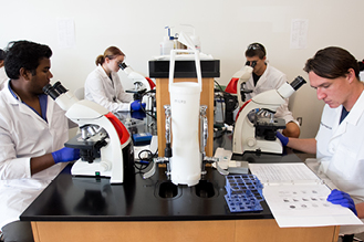 four nursing students work together during a lab