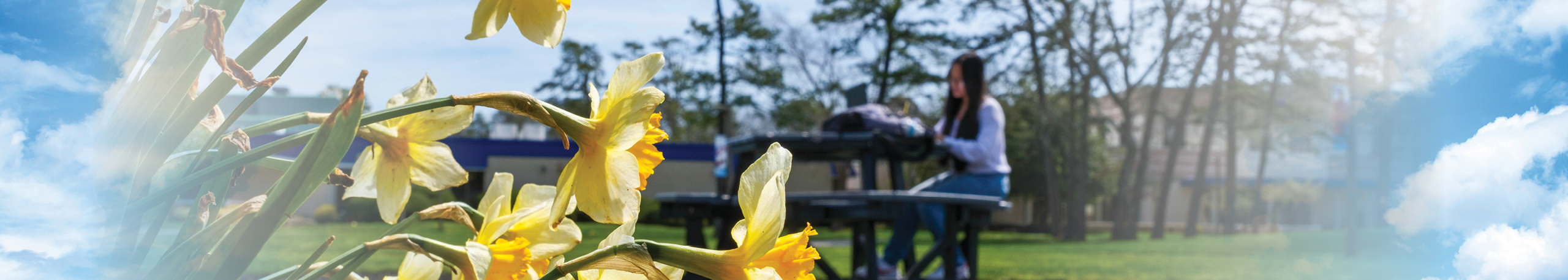 student reading at table with daffodils 