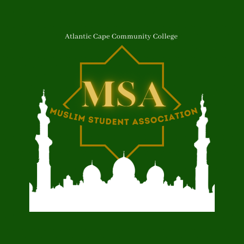 msa-logo.png