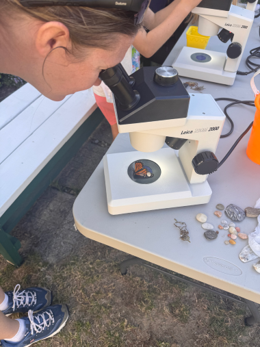 looking through the microscope