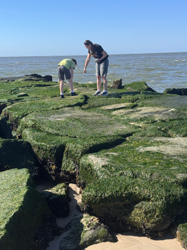 searching the jetty for beach treasures