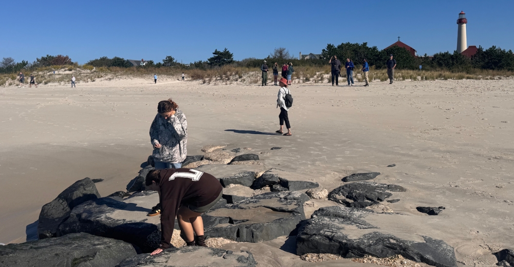 searching for beach treasures at Guided Beachcombing Walk