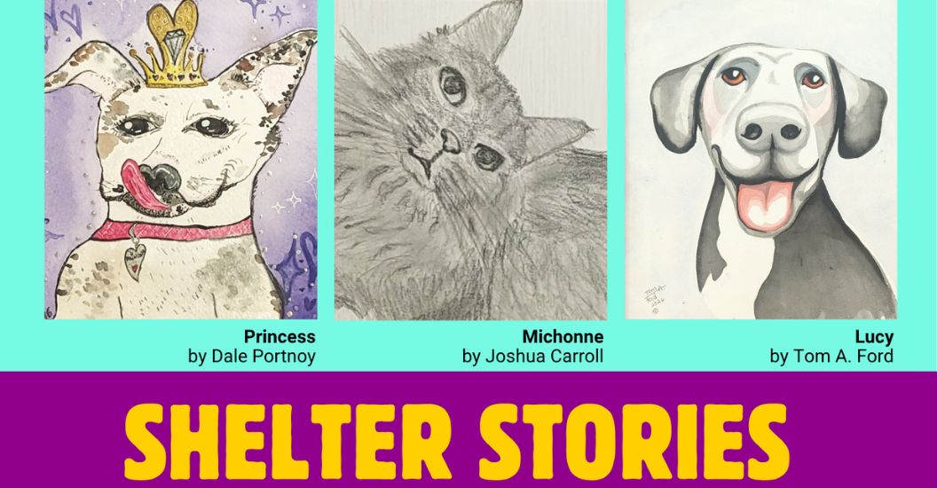 Shelter Stories art gallery exhibit