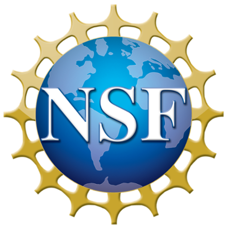 nsf-4-color-bitmap-logo.png