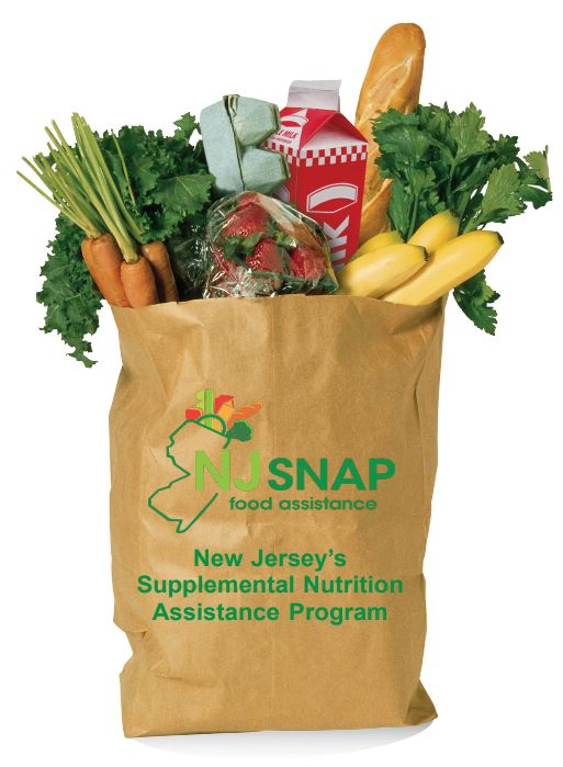 njsnap-logo.JPG
