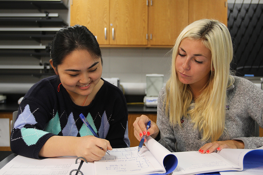 student receiving tutoring help