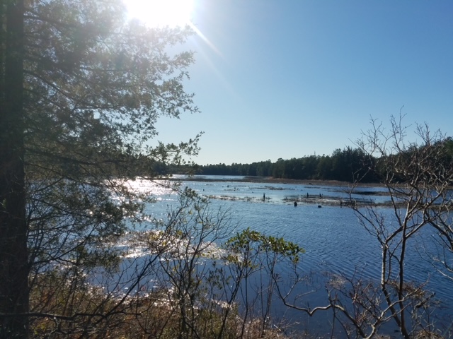 Batsto Lake