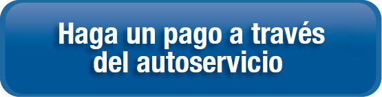 haga un pago a traves del autoservicio