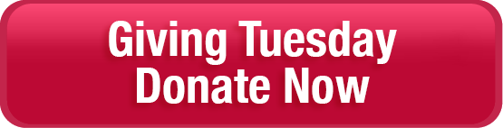 giving-tuesday-donate-now.png