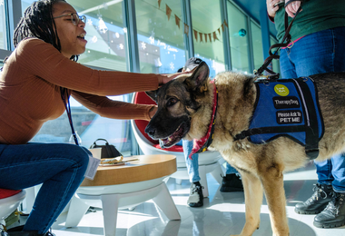 Person interacting with therapy dog.