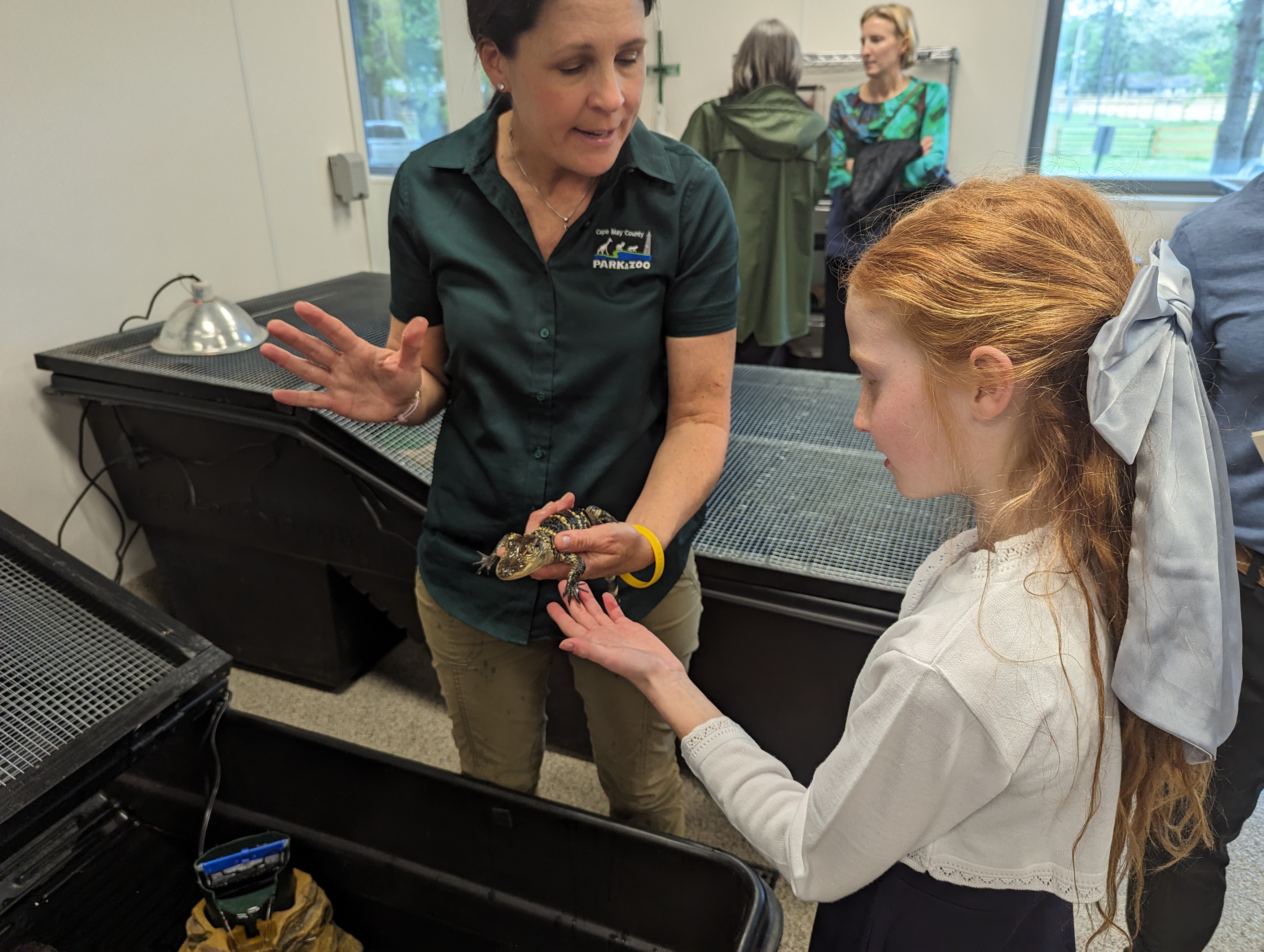 Children view some of the animals