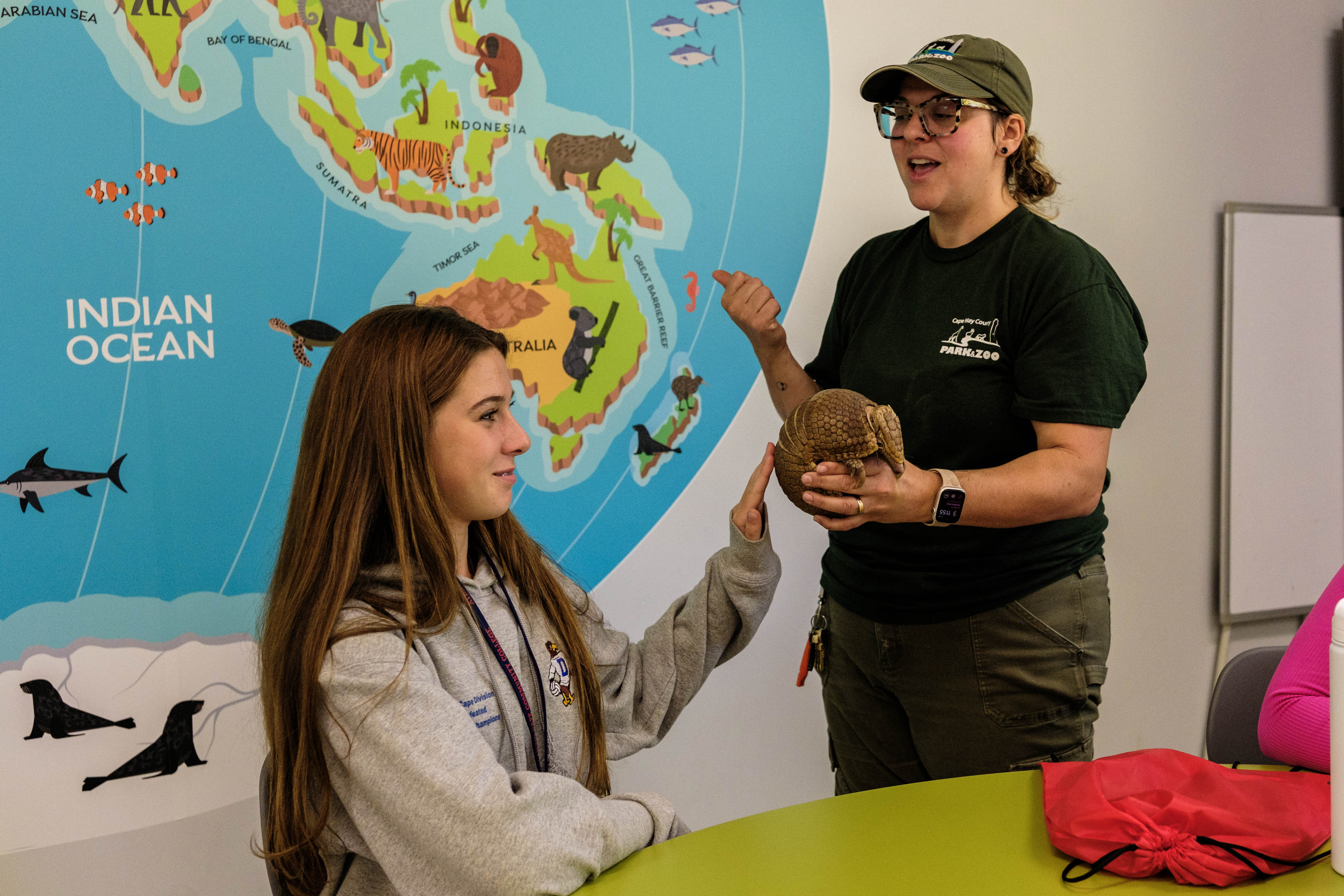 Student touches the shell of an armadillo 