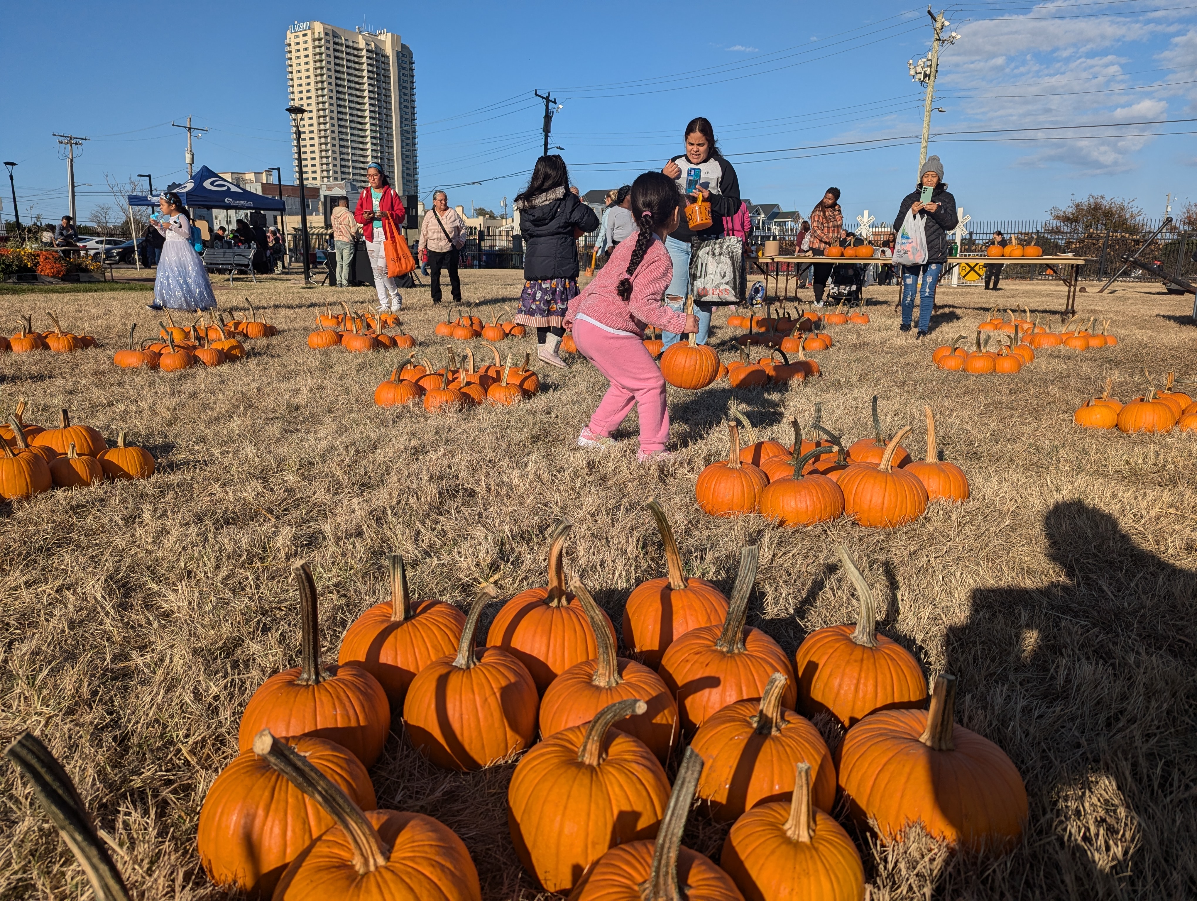 Children pick pumpkins